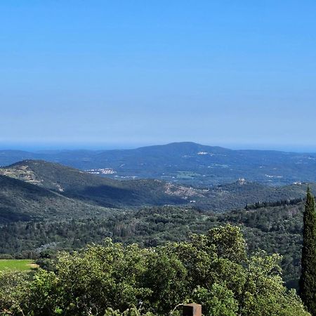 Capsud, La Garde-Freinet Lägenhet Exteriör bild
